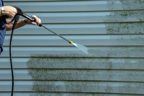 Best Residential Pressure Washing Services  in Bridgman, MI