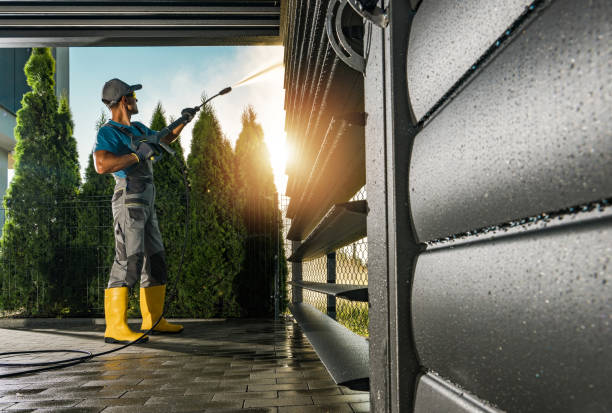Best Local Pressure Washing Services  in Bridgman, MI